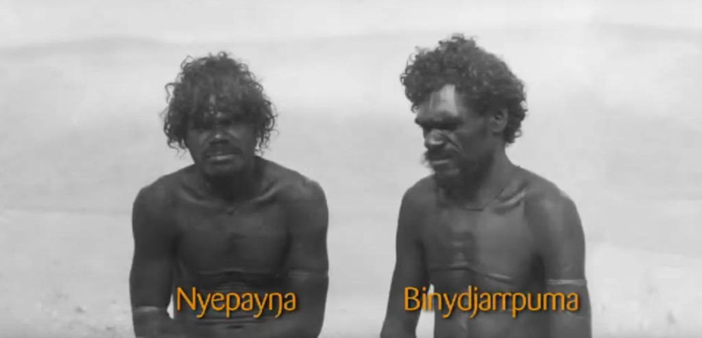 Two Brothers - Nyepayŋa and Binydjarrpuma