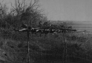 Burial Platform photo by Donald Thomson