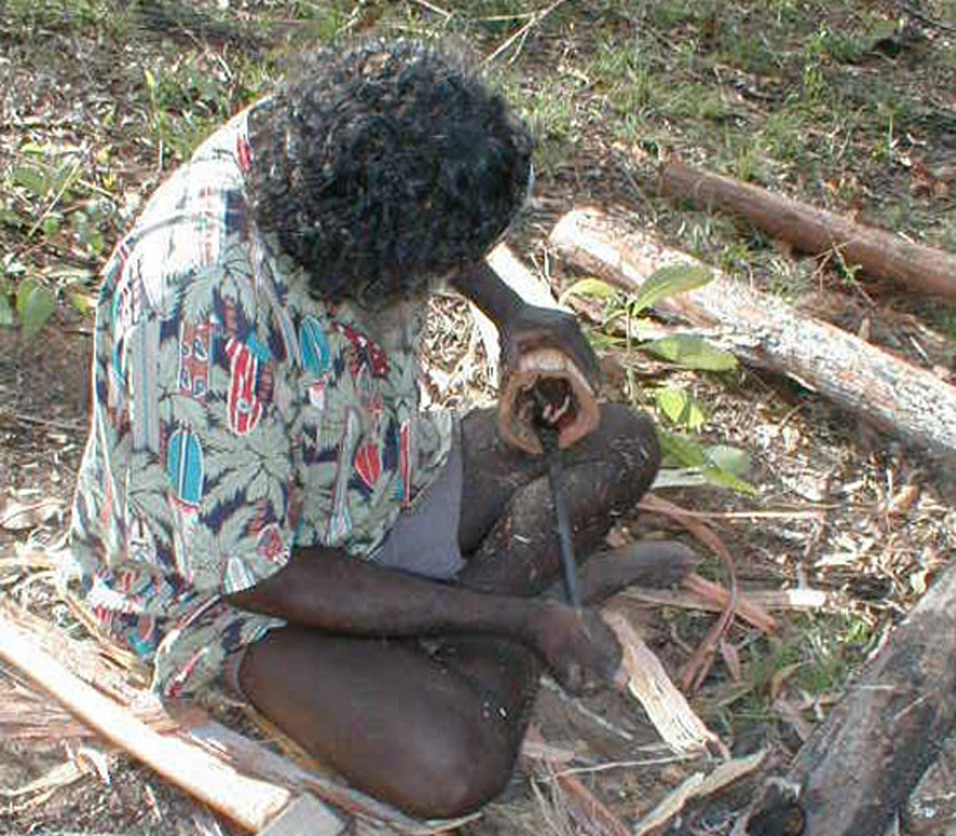 Djalu working on the yidaki