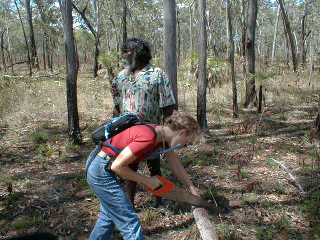 Woman Didge Player at Work